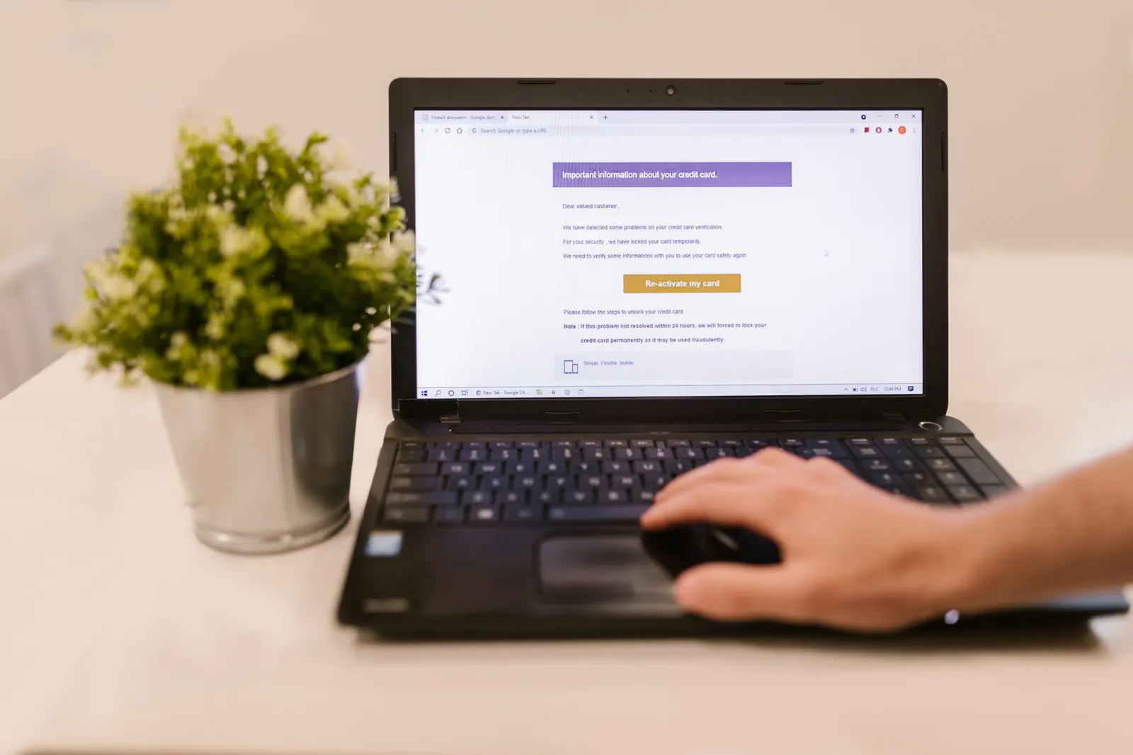 Persona leyendo un correo electrónico en un ordenador portátil junto a una maceta